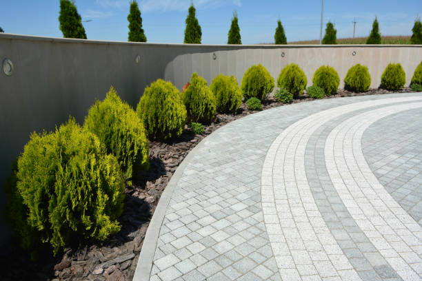 Best Custom Driveway Design and Paving in Carrington, ND