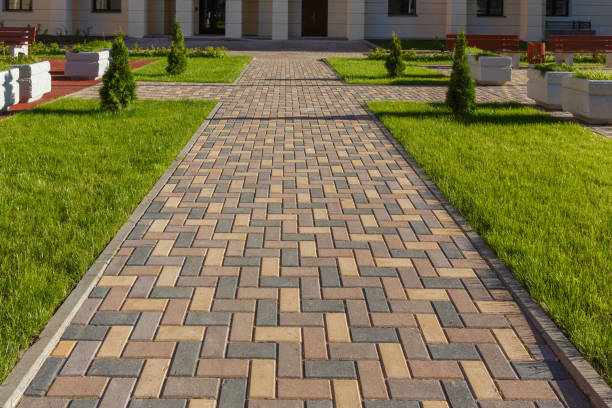 Best Driveway Drainage Solutions in Carrington, ND